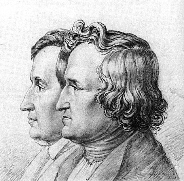 ����� ����