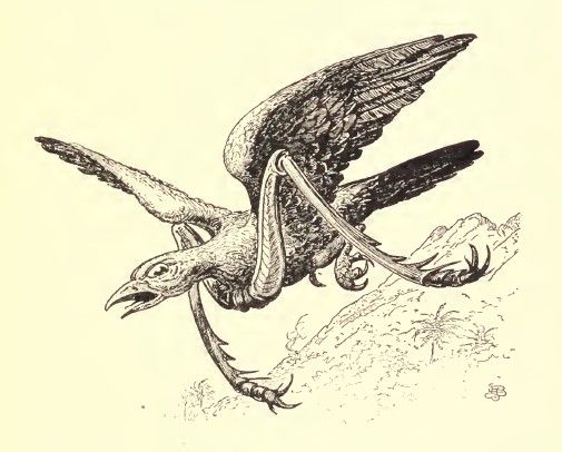 John Maurice Miller. Philippine Folklore Stories. Boston: Ginn and Co., 1904.