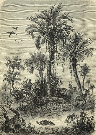 Emil Holub. Seven Years in South Africa, trans. Ellen E. Frewer, 1881. Seven Years in South Africa, English translation of a book by Emil Holub, trans. Ellen E. Frewer, 1881.