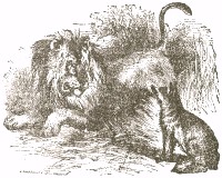 Illustration by  Harrison Weir, John Tenniel and Ernest Griest, 1884.