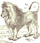 Illustration by  Harrison Weir, John Tenniel and Ernest Griest, 1884.