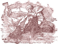 Illustration by  Harrison Weir, John Tenniel and Ernest Griest, 1884.