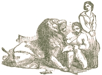 Illustration by  Harrison Weir, John Tenniel and Ernest Griest, 1884.