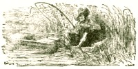 Ilustrado por Harrison Weir, John Tenniel y Ernest Griest, 1884.