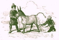 Ilustraci&oacute;n: 'Cuentos escogidos de los Hermanos Grimm', 1879.