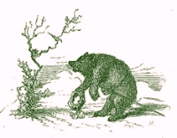 Ilustraci&oacute;n: 'Cuentos escogidos de los Hermanos Grimm', 1879.