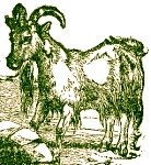 Ilustrado por Harrison Weir, John Tenniel y Ernest Griest, 1884.