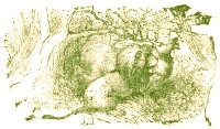 Ilustrado por Harrison Weir, John Tenniel y Ernest Griest, 1884.